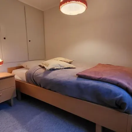 Horská chata Cosy Family House Alt St. Johann